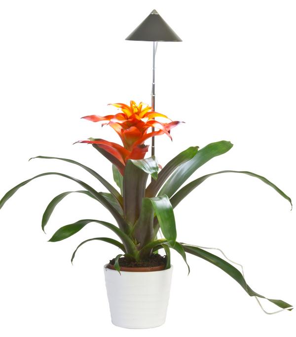 Venso LED-Pflanzenlampe