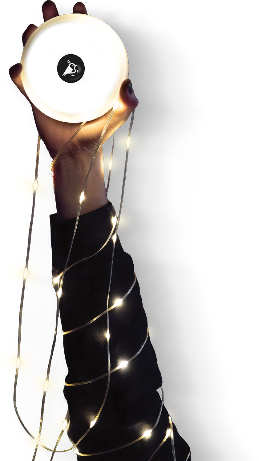 Aqiila Lightbird BL2 Glowlight