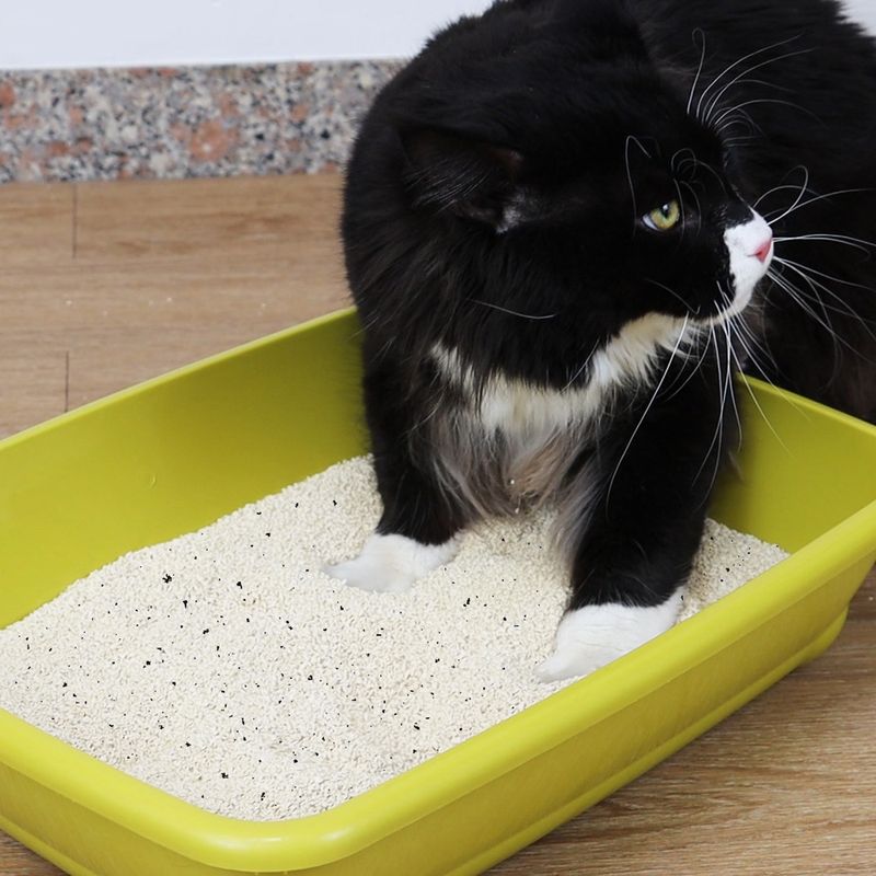 Litière Croci Tofu Clean Active pour chat