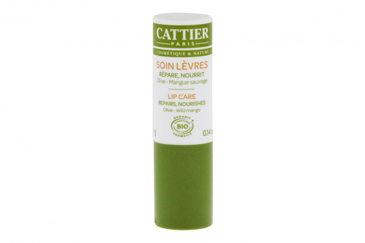 Soin lèvres bio olive et mangue sauvage 4g