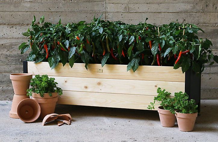 Carré potager bois et zinc noir 78 x 52 x h.48 cm