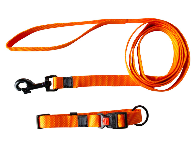 Halsband met lijn