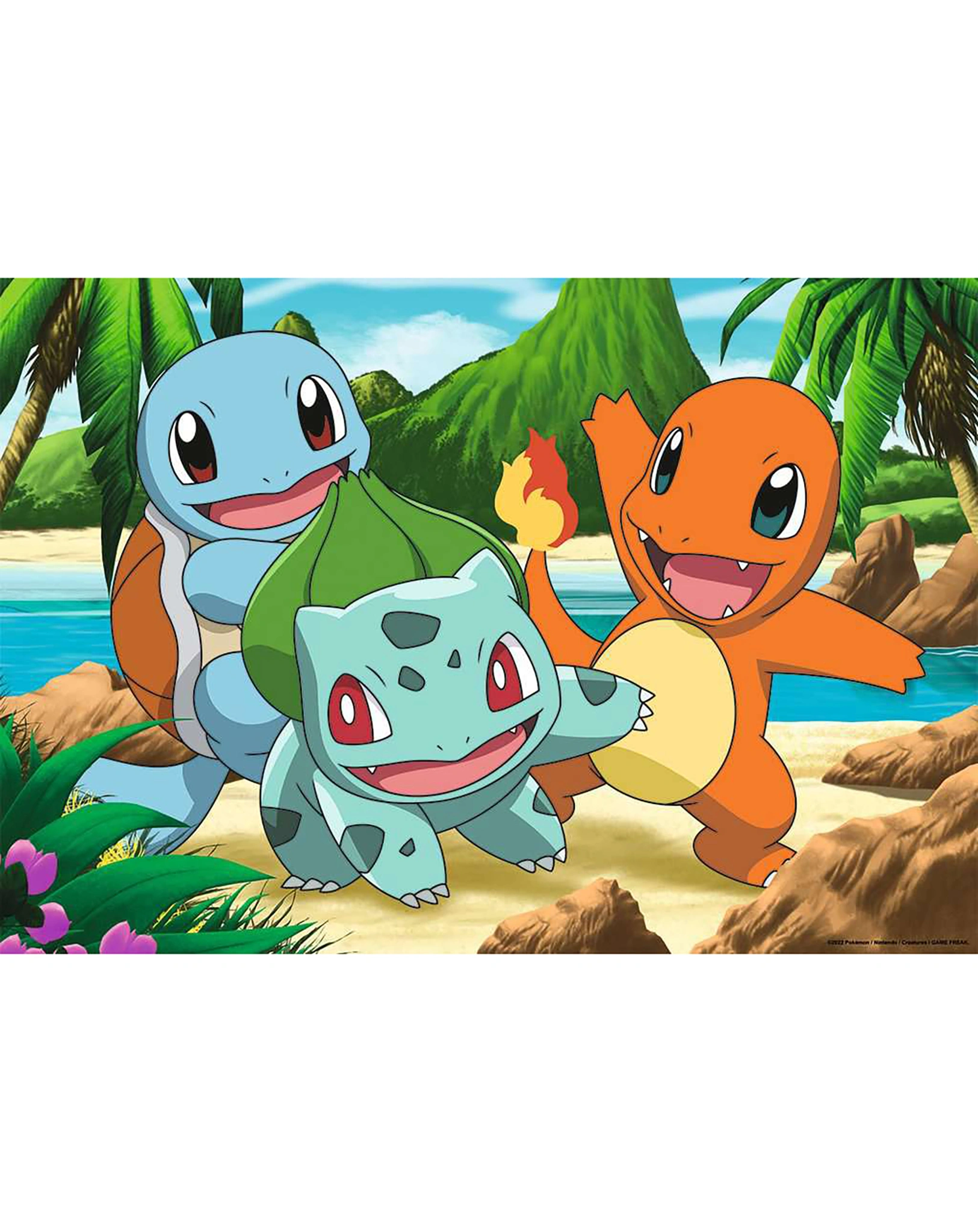 Puzzle PIKACHU UND SEINE FREUNDE 2x24-teilig