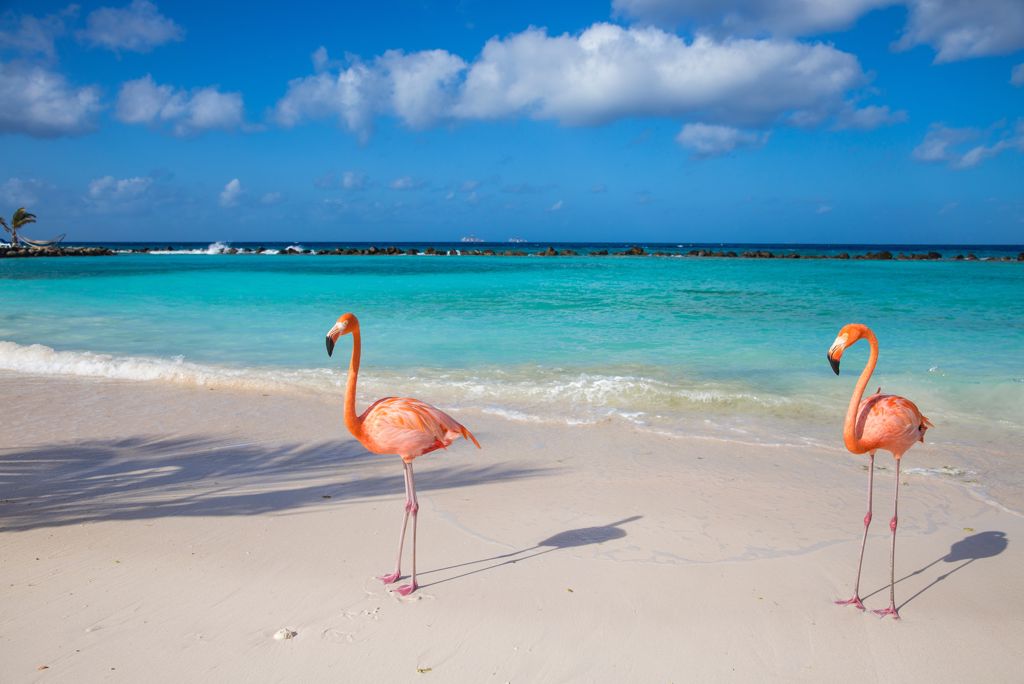 Cruise Only Curaçao & Caribische Parels Volpension
