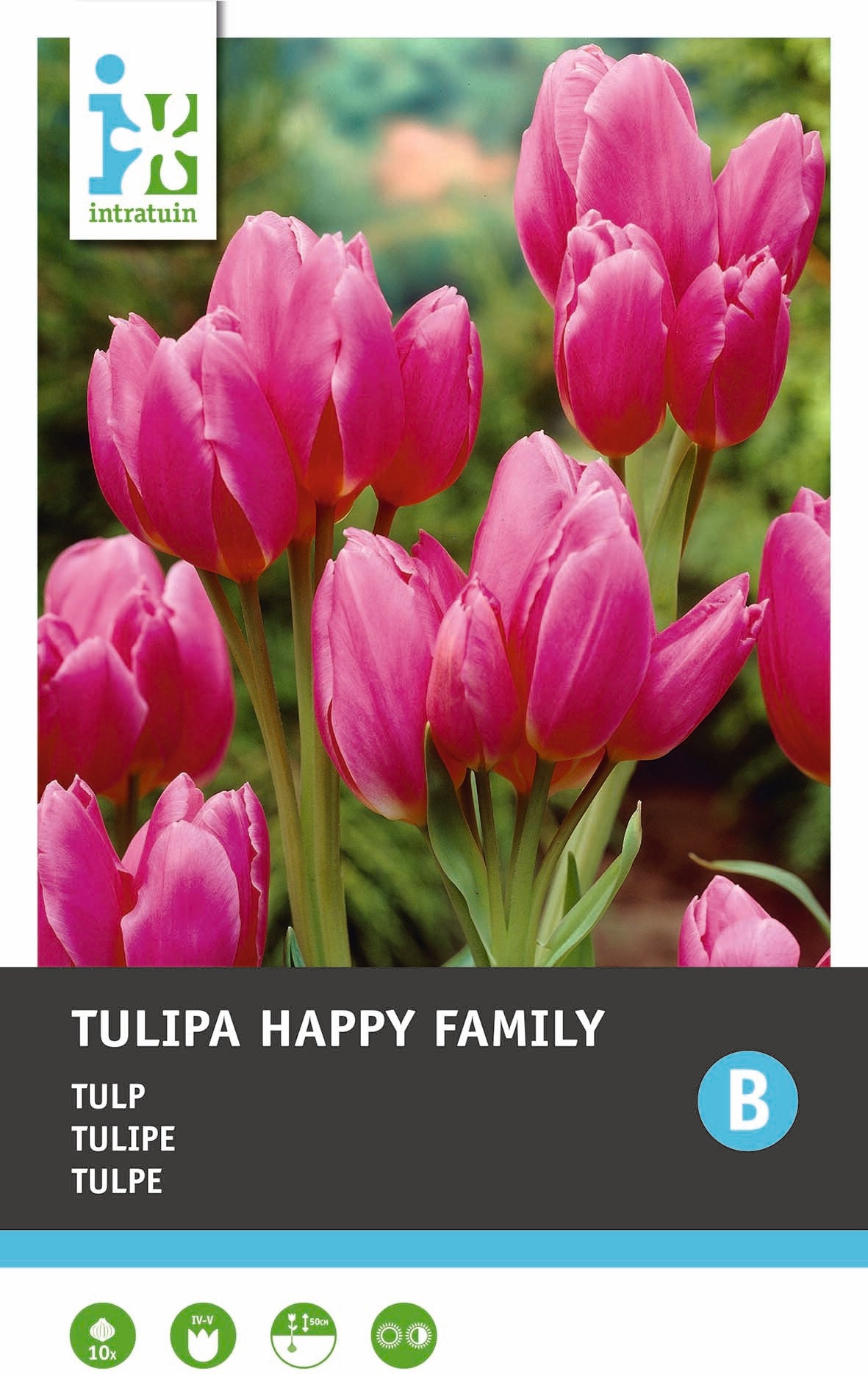 Intratuin bloembollen Tulp (Tulipa 'Happy Family')10 stuks