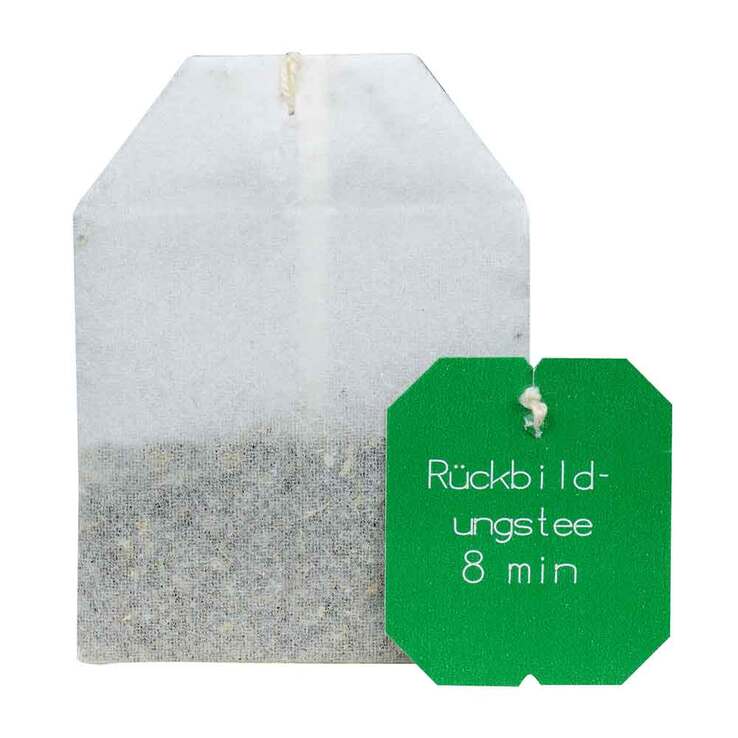Salus Rückbildungstee Bio Filterbeutel, 15 St