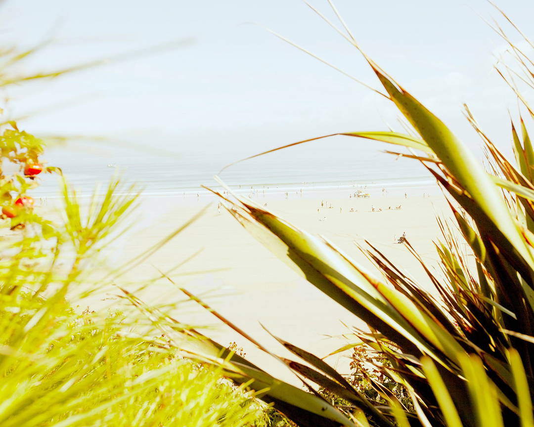 Horizon by Mark Leary - Limited Edition. Edition of: 150. Signed.
