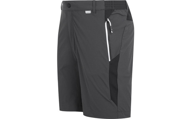 Regatta Mountain II Herren Shorts
