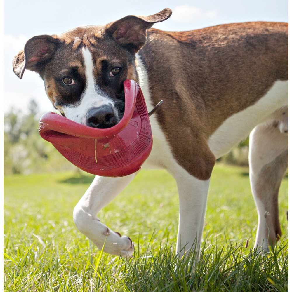 Kong Flyer Frisbee Rood