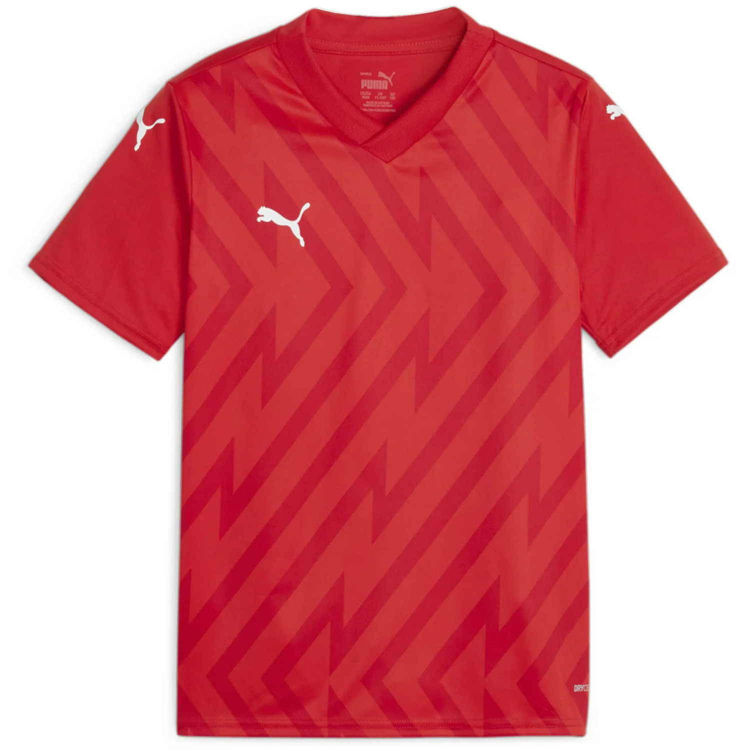 Puma GLORY Keeperstenue Kids