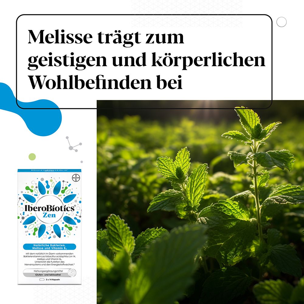 Iberogast® Magen-Darm Set