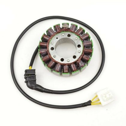Stator d'allumage Electrosport