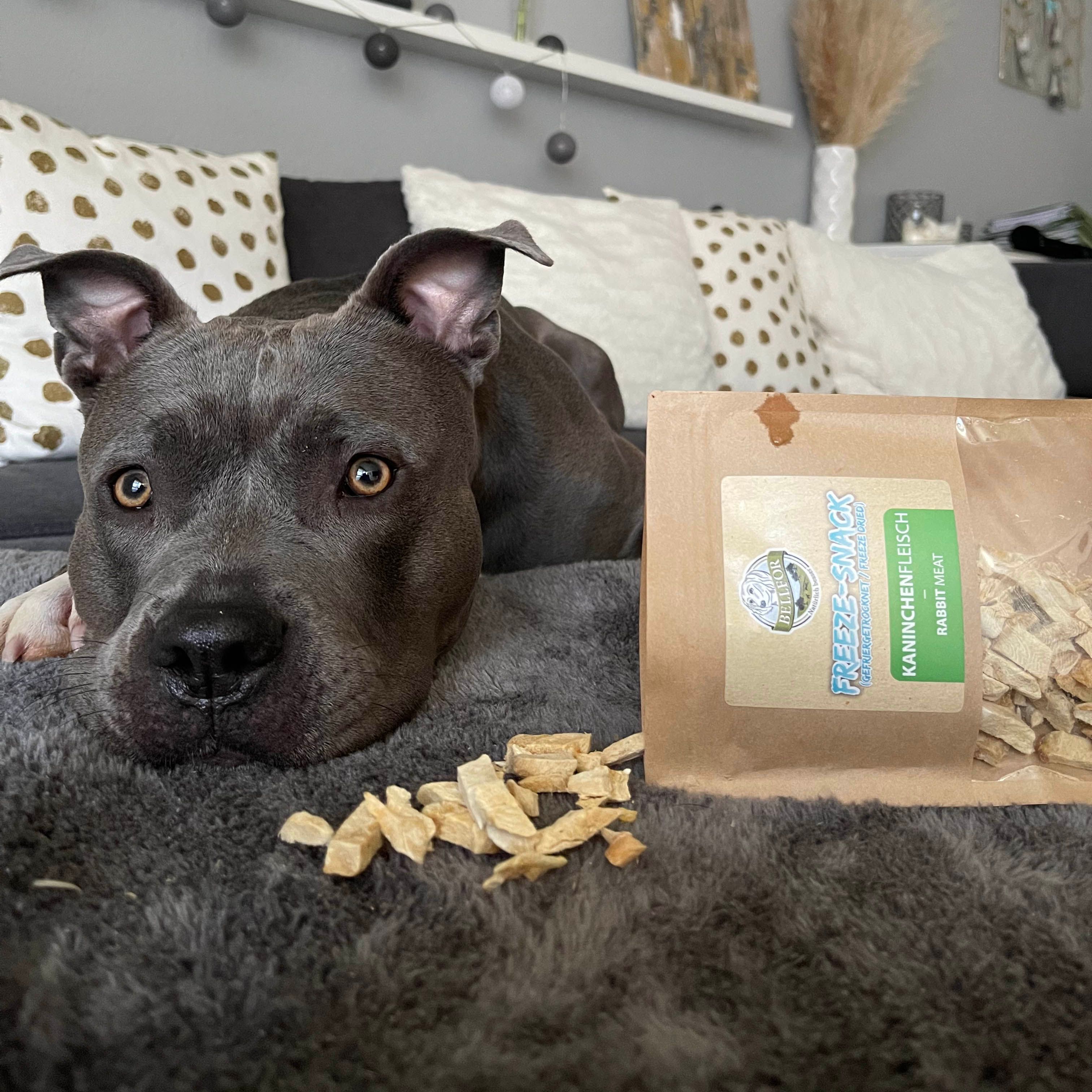 Bellfor Gesunder Freeze-Snack für Hunde - Kaninchenfleisch (gefriergetrocknet)