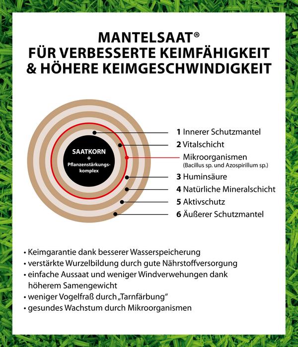Dehner Frühjahrsrasen-Nachsaat, 750 g