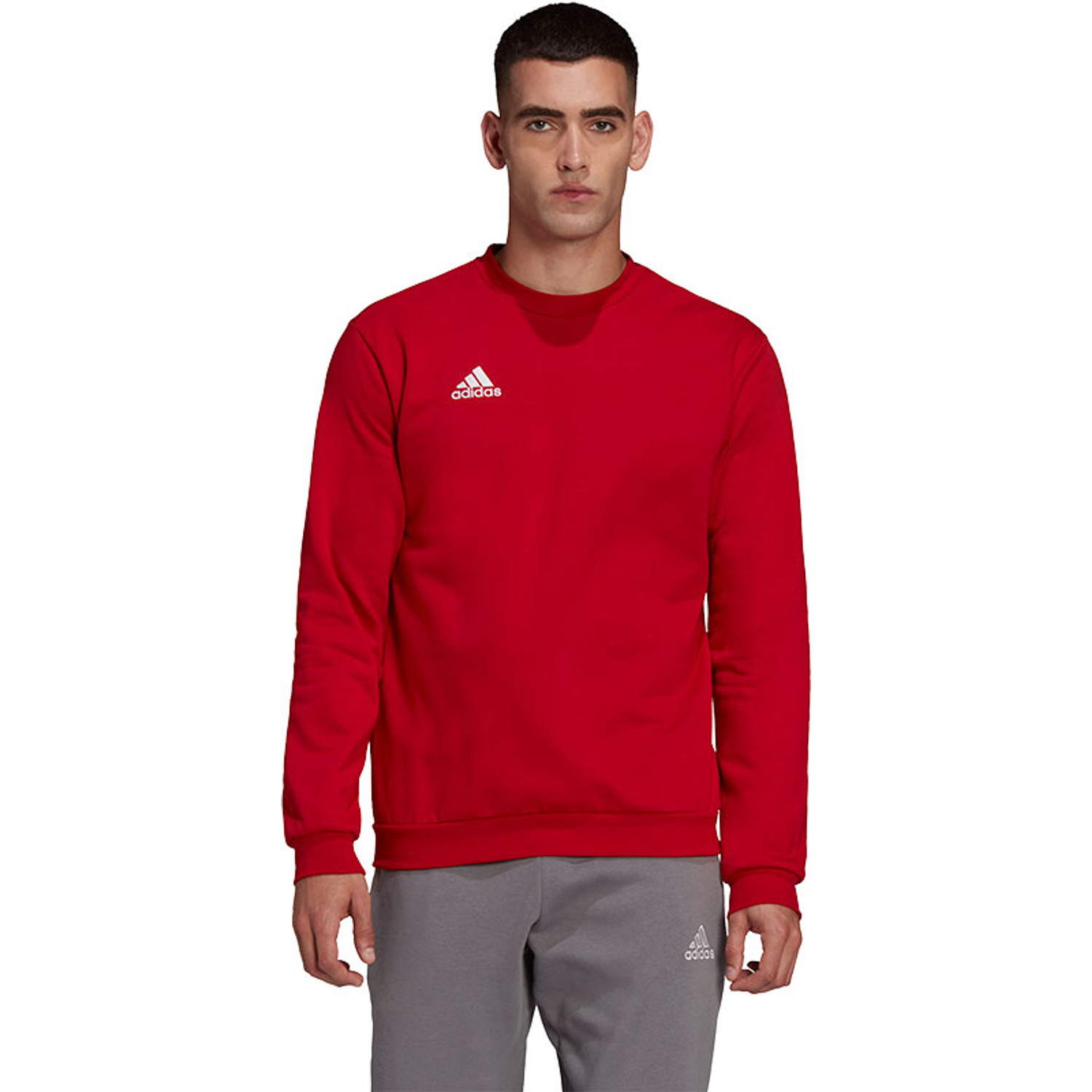 adidas Entrada 22 Sweat Trainingspak