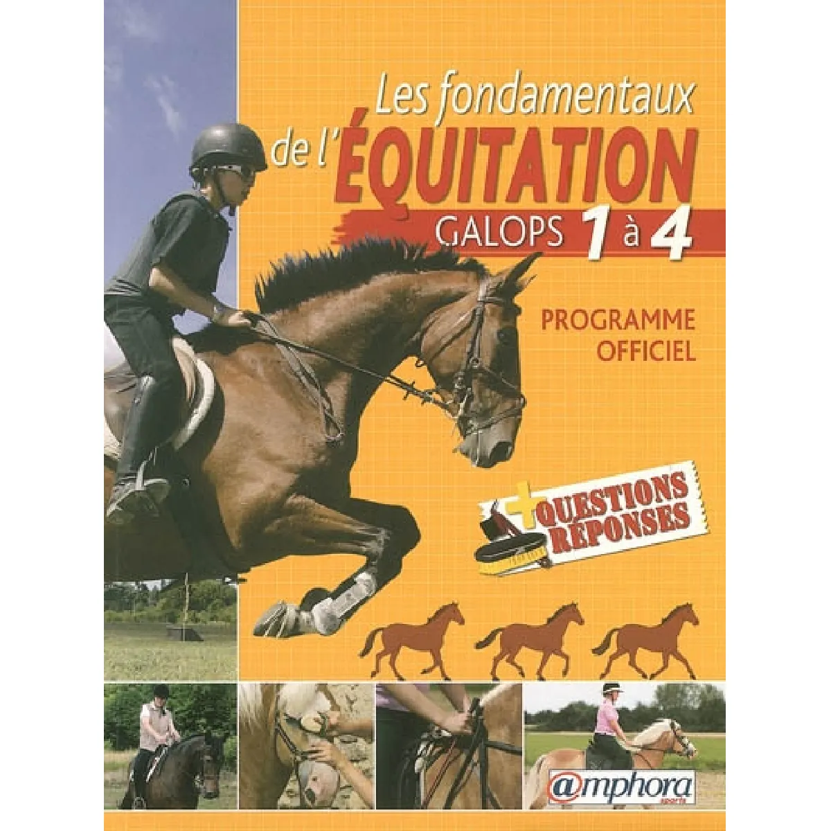 Les fondamentaux de l'équitation, galops 1 à 4 : programme officiel + questions réponses · Occasion