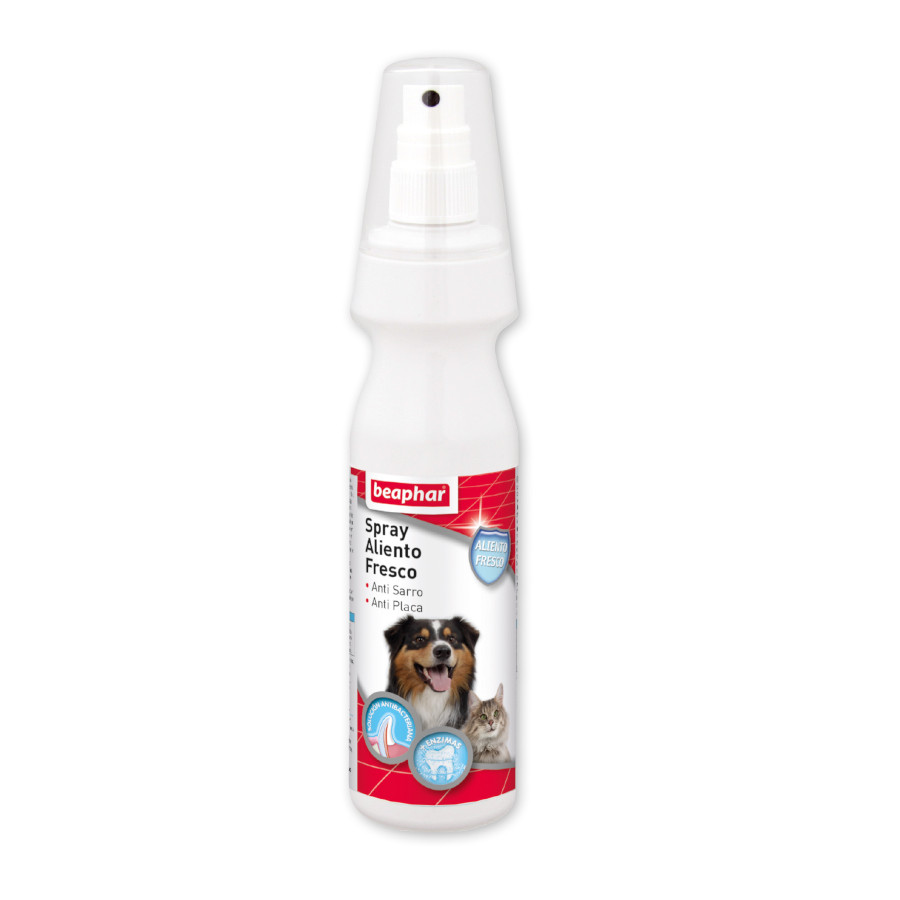Spray Beaphar para hálito fresco em cães e gatos