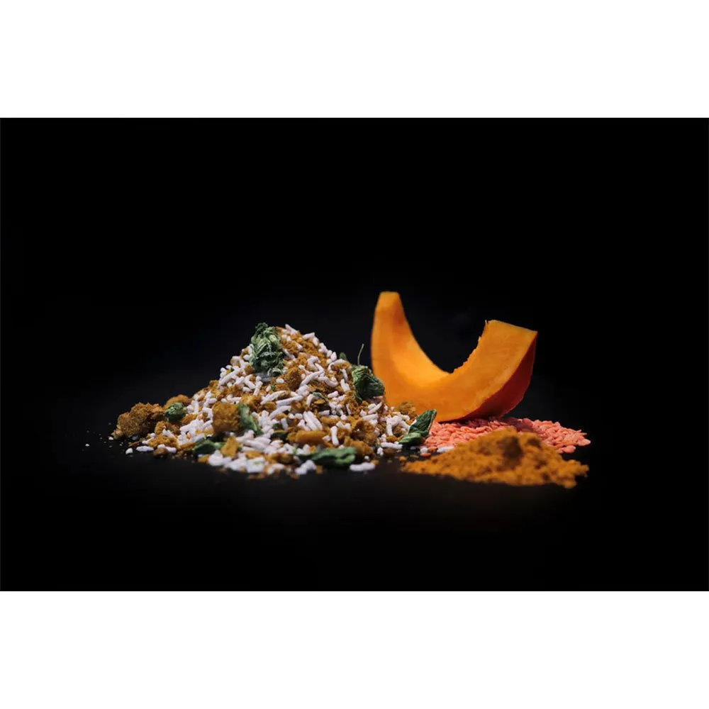 Comida orgânica de trilha, dal vegano com arroz
