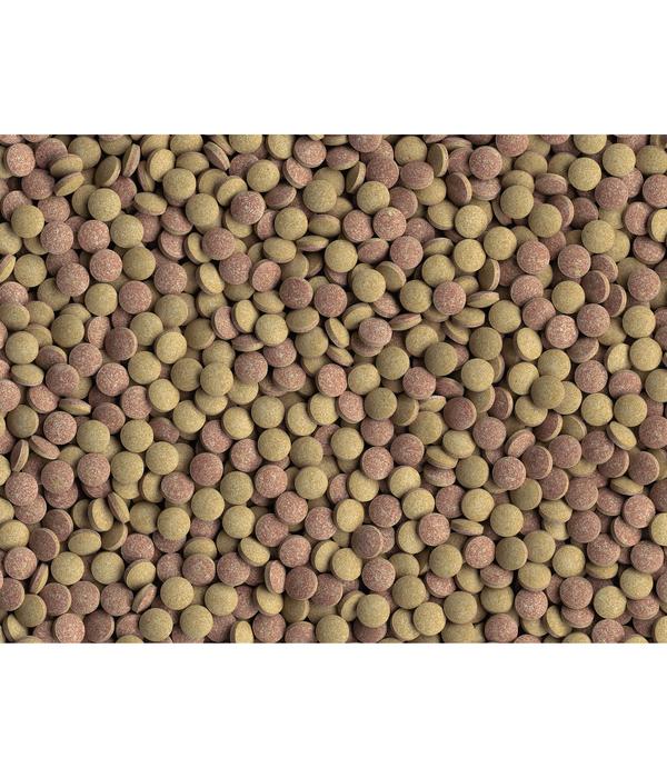 Tetra Fischfutter Tablets TabiMin