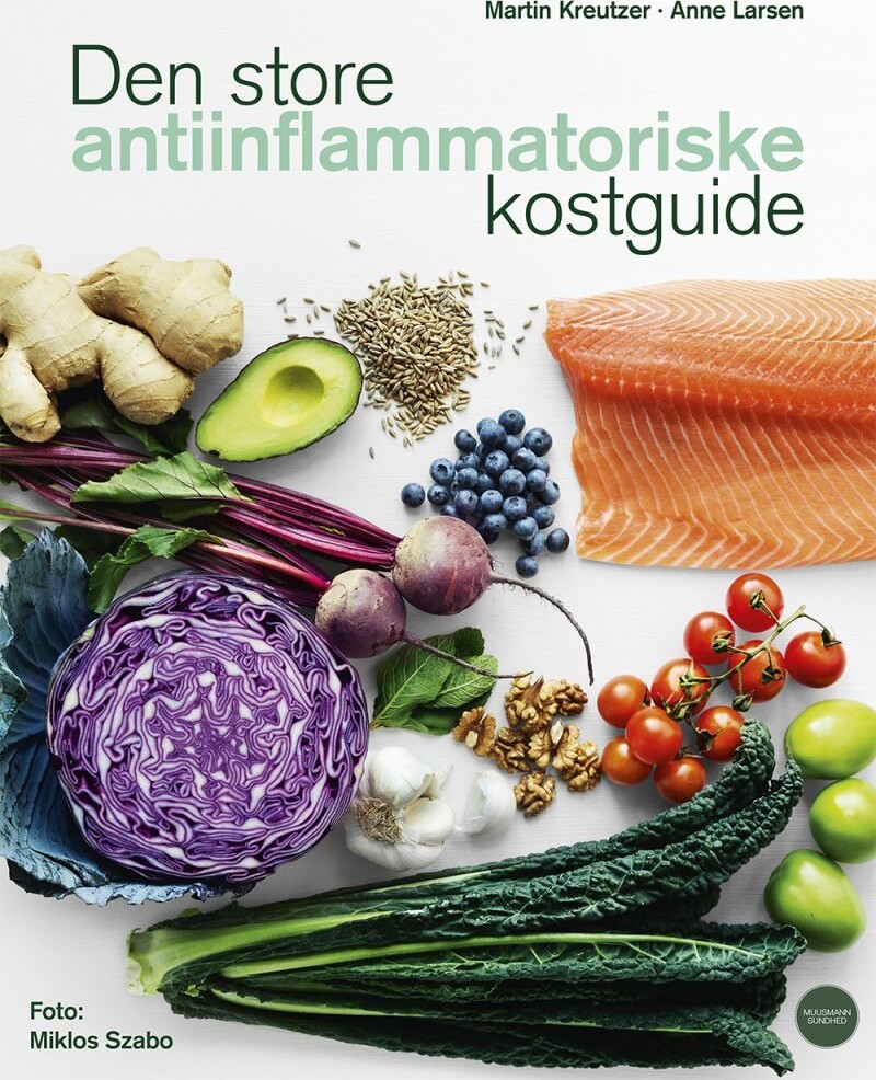 Den Store Antiinflammatoriske Kostguide - Martin Kreutzer - Bog