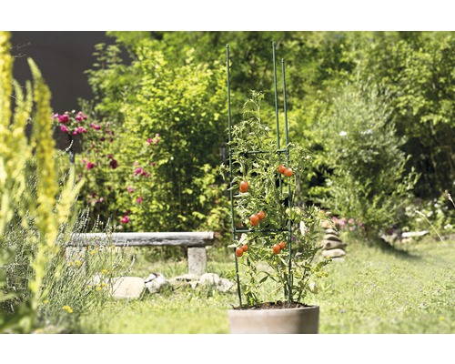 Tomatenrek, komkommertoren FloraSelf 150x30 cm groen