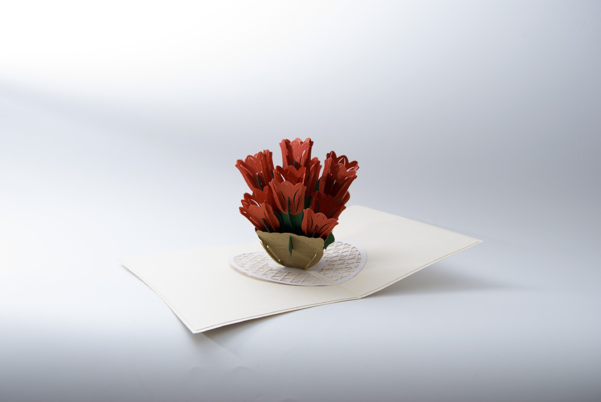 Pop-Up Karte 'Tulpe', rot, L 18 cm, B 13 cm günstig bestellen