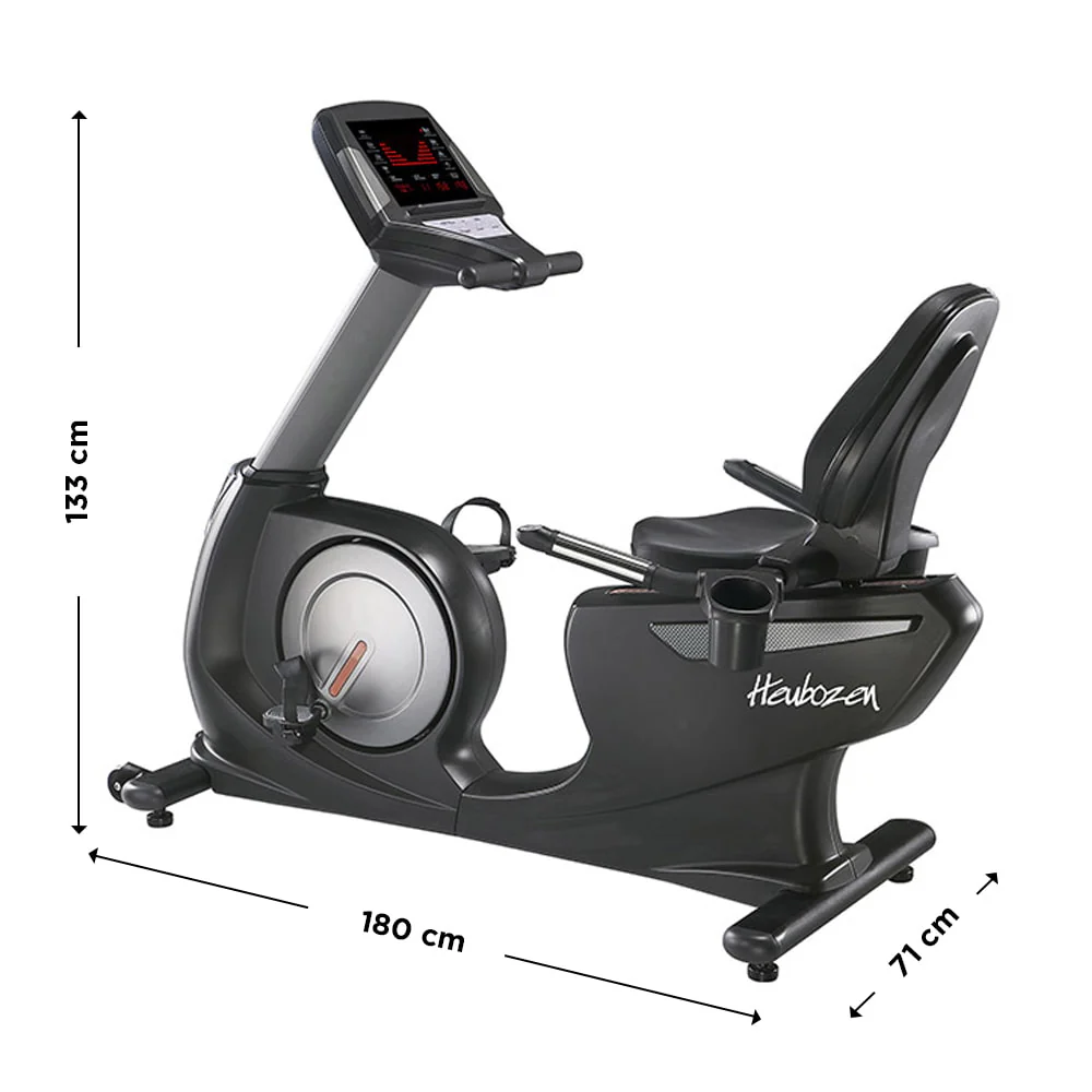 HEUBOZEN Recumbent Générator II