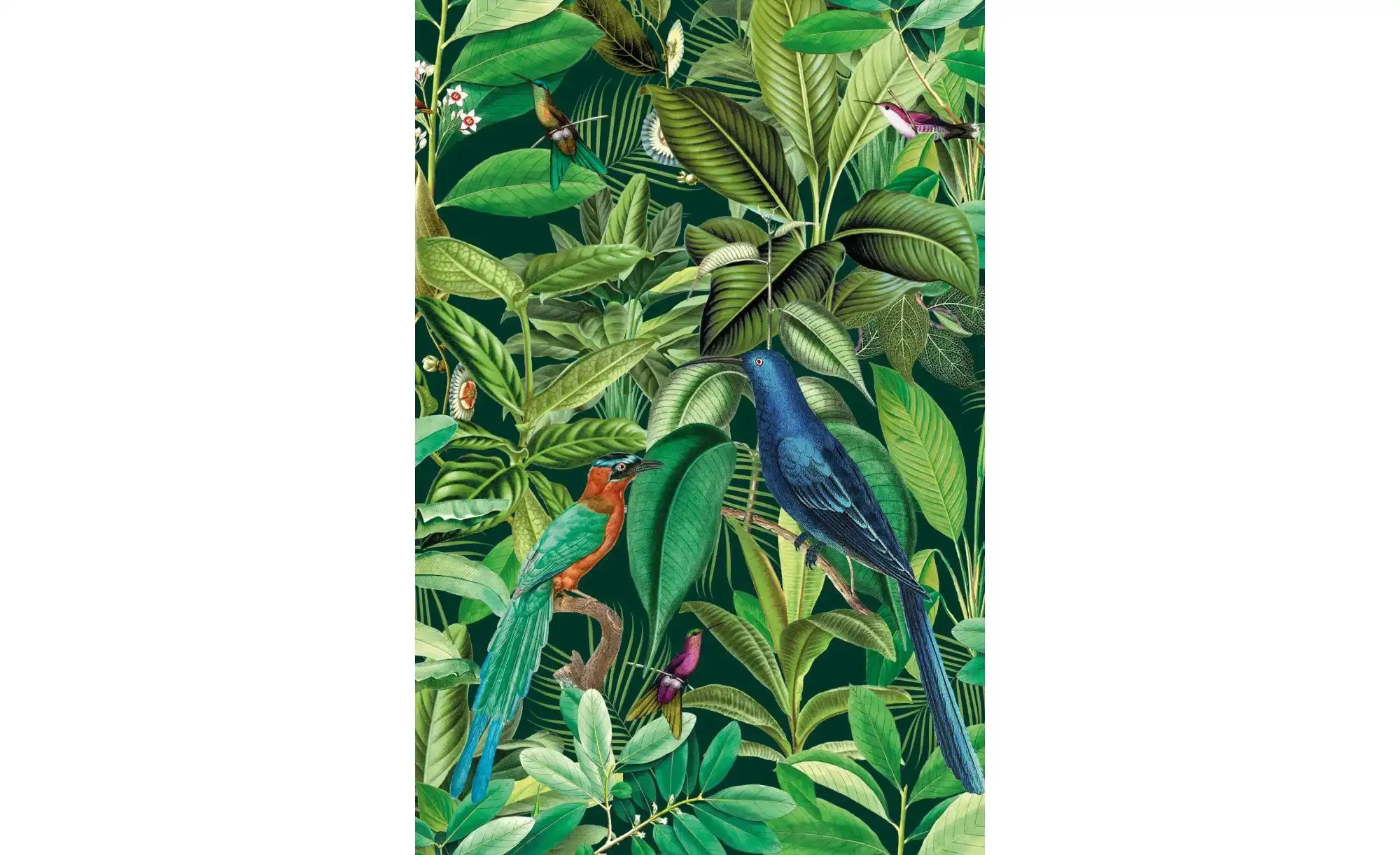 Apelt Gardine