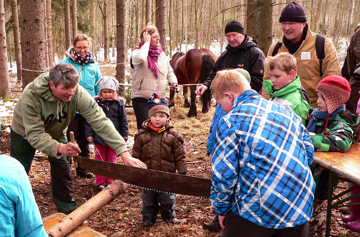Holzrücken mit Pferden Windeck