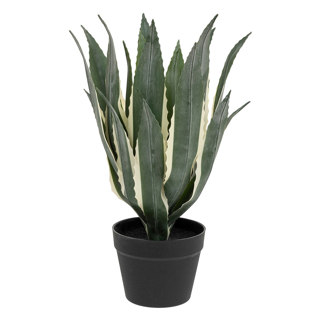Agave artificielle PANAMA H 55cm