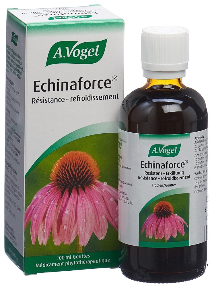VOGEL Echinaforce Resistenz Erkältung Tropfen Fl 100 ml