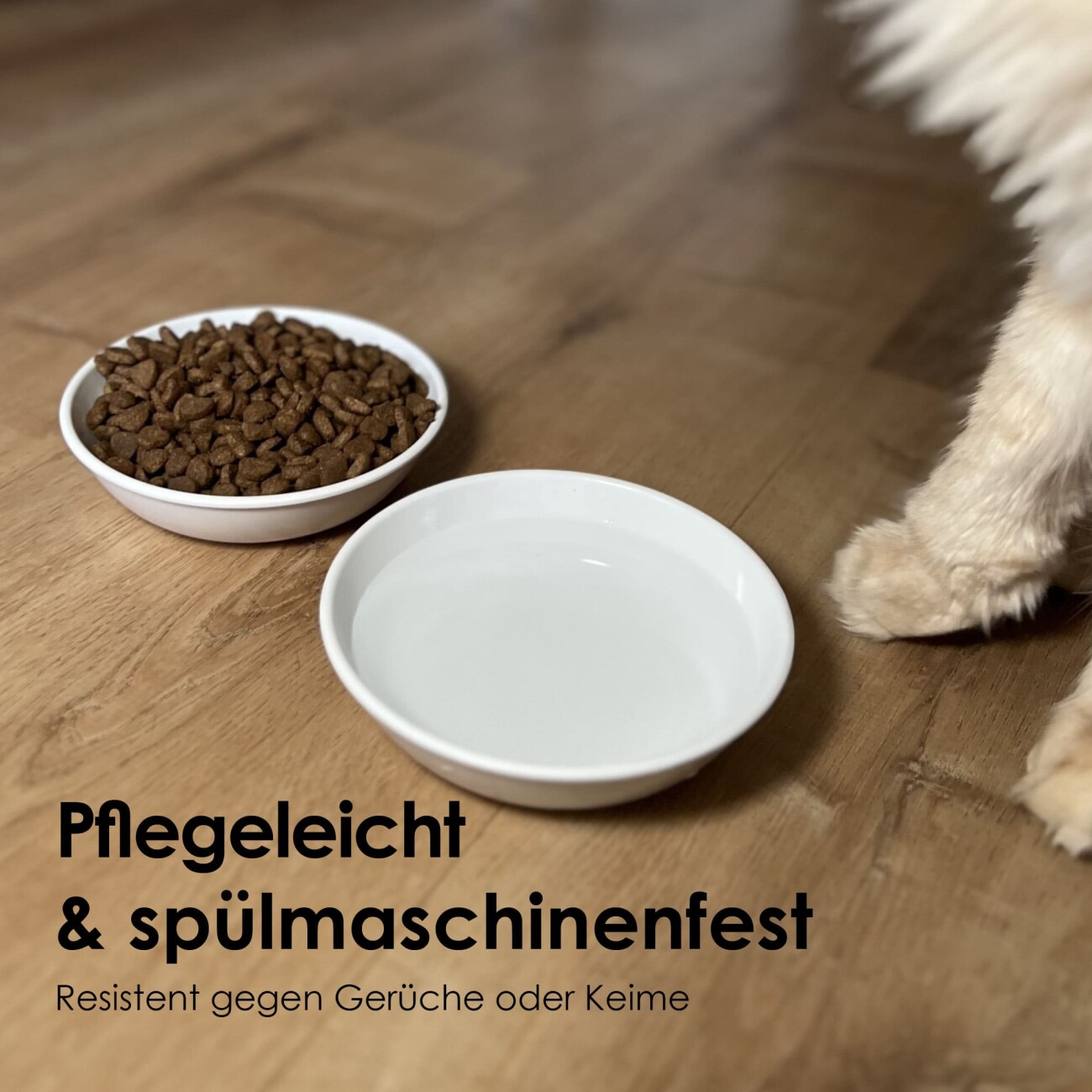 LucyBalu BOWL Melamin Katzennapf