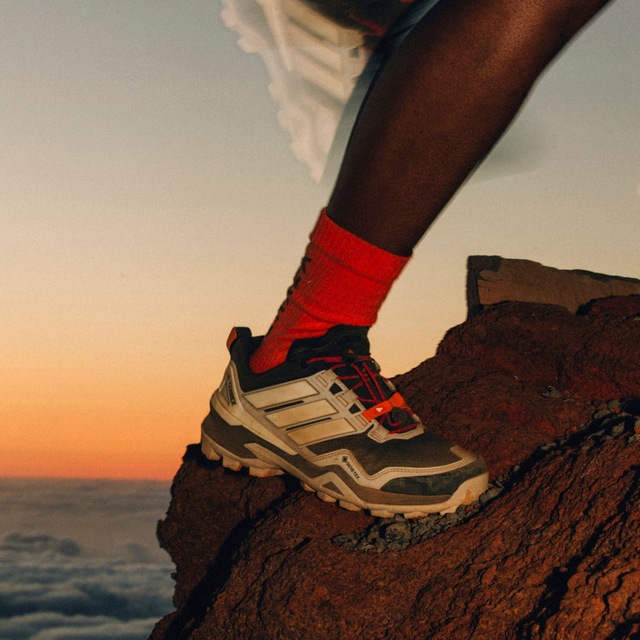 adidas TERREX Wanderschuh »TERREX SKYCHASER GORE-TEX«  wasserdicht