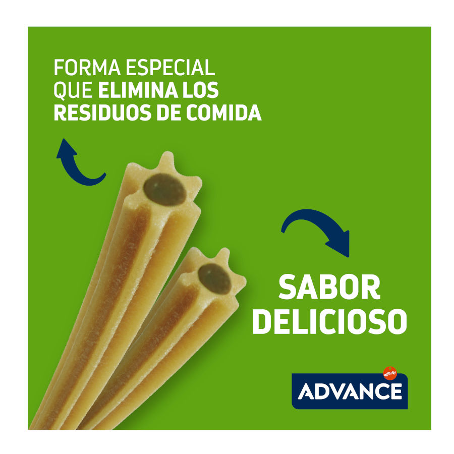 Petiscos Advance Dental Care nos tamanhos Médio e Maxi para cães.