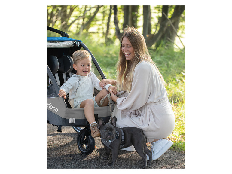 Kinderwagen Sportrex 2 Limited Edition