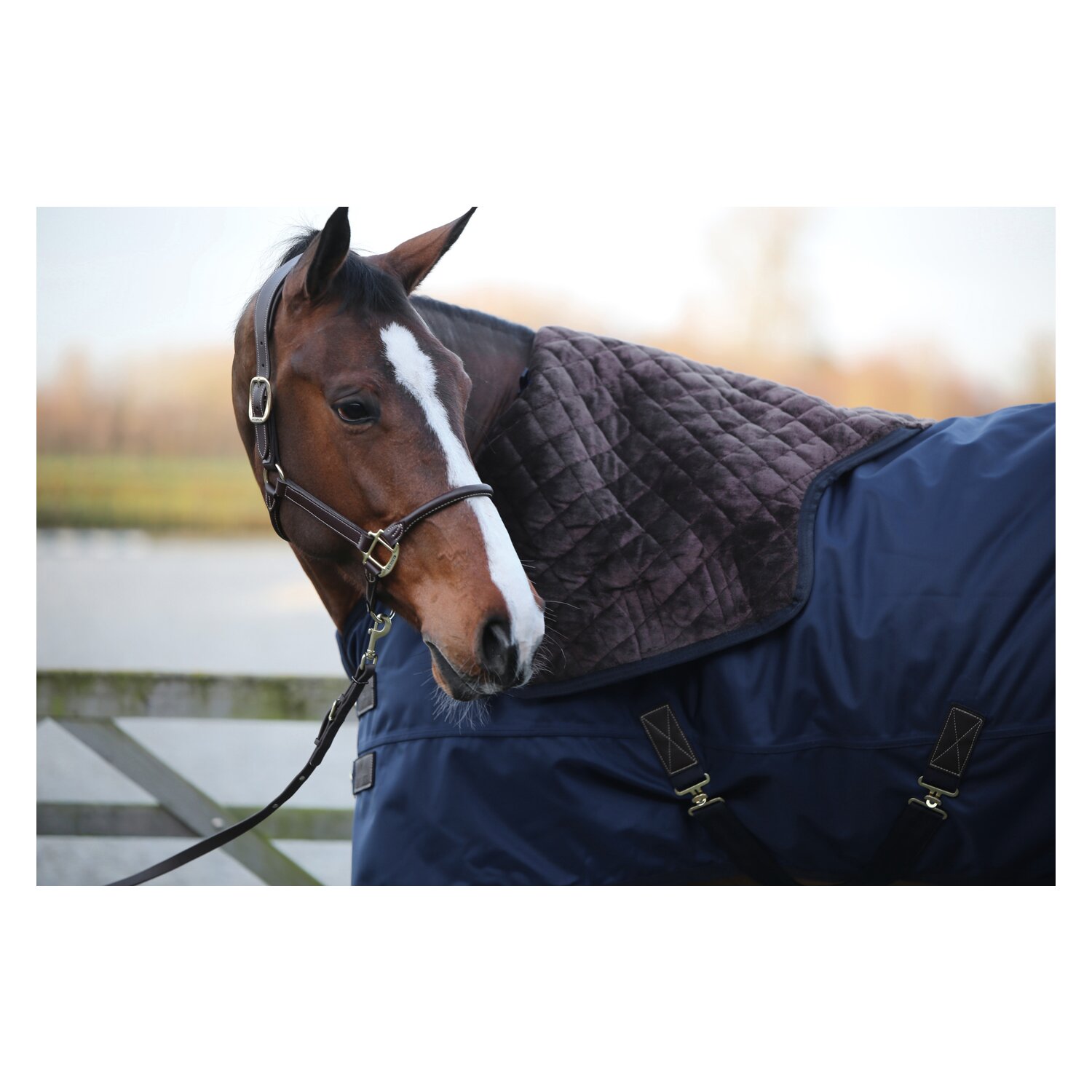 KENTUCKY Halsteil All Weather Pro 150 g - navy
