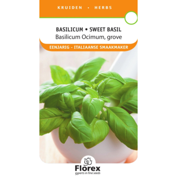 Basilicum grof Zaadjes