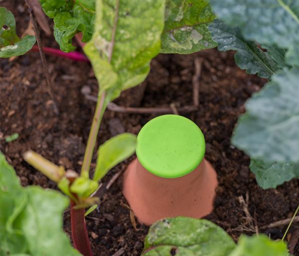 Bio Green Bewässerungssystem Hydro Max