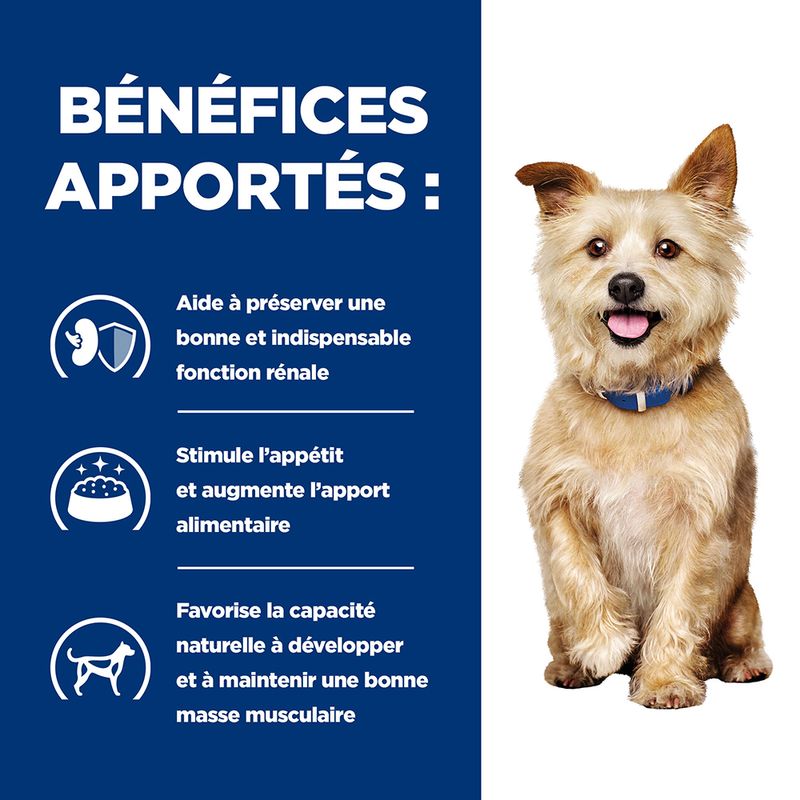 Hill's Prescription Diet k/d Kidney Care à Prix Discount | bitiba.fr