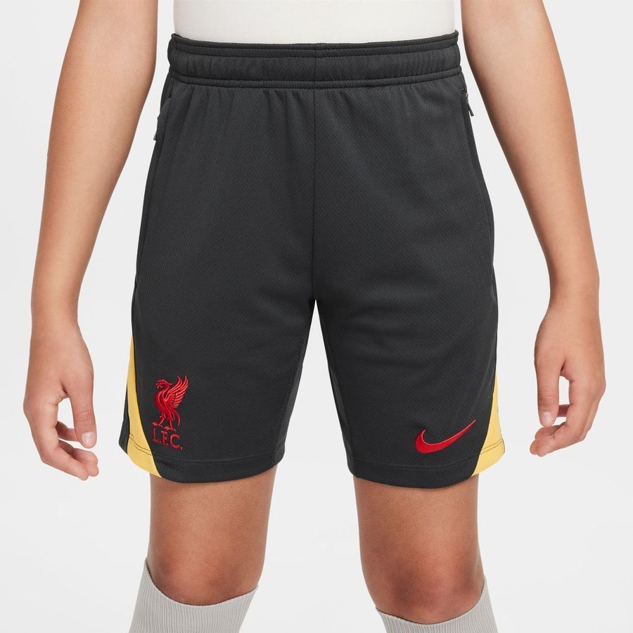 Liverpool Short d'Entraînement Dri-FIT Strike 3ème - Gris/Jaune/Rouge Enfant