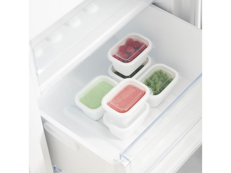 Rotho Vorratsbehälter Freeze 6 Stück, 0.25 l, Transparent Gefrierdosenbox für Lebensmittel