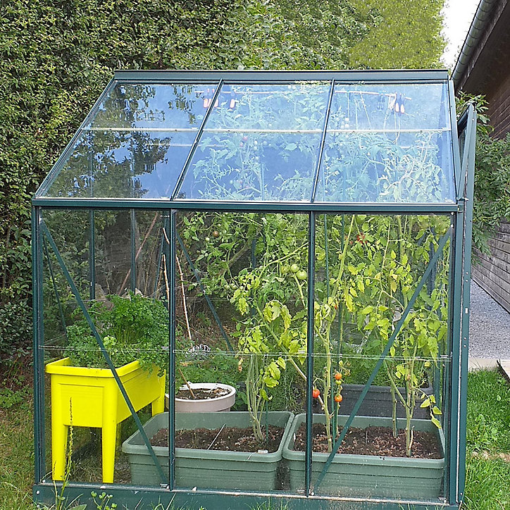Serre en verre Lams Allium vert 3,70m²