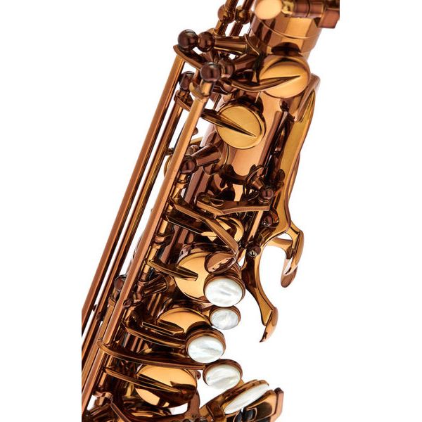 Rampone & Cazzani Performance Line Alto Sax