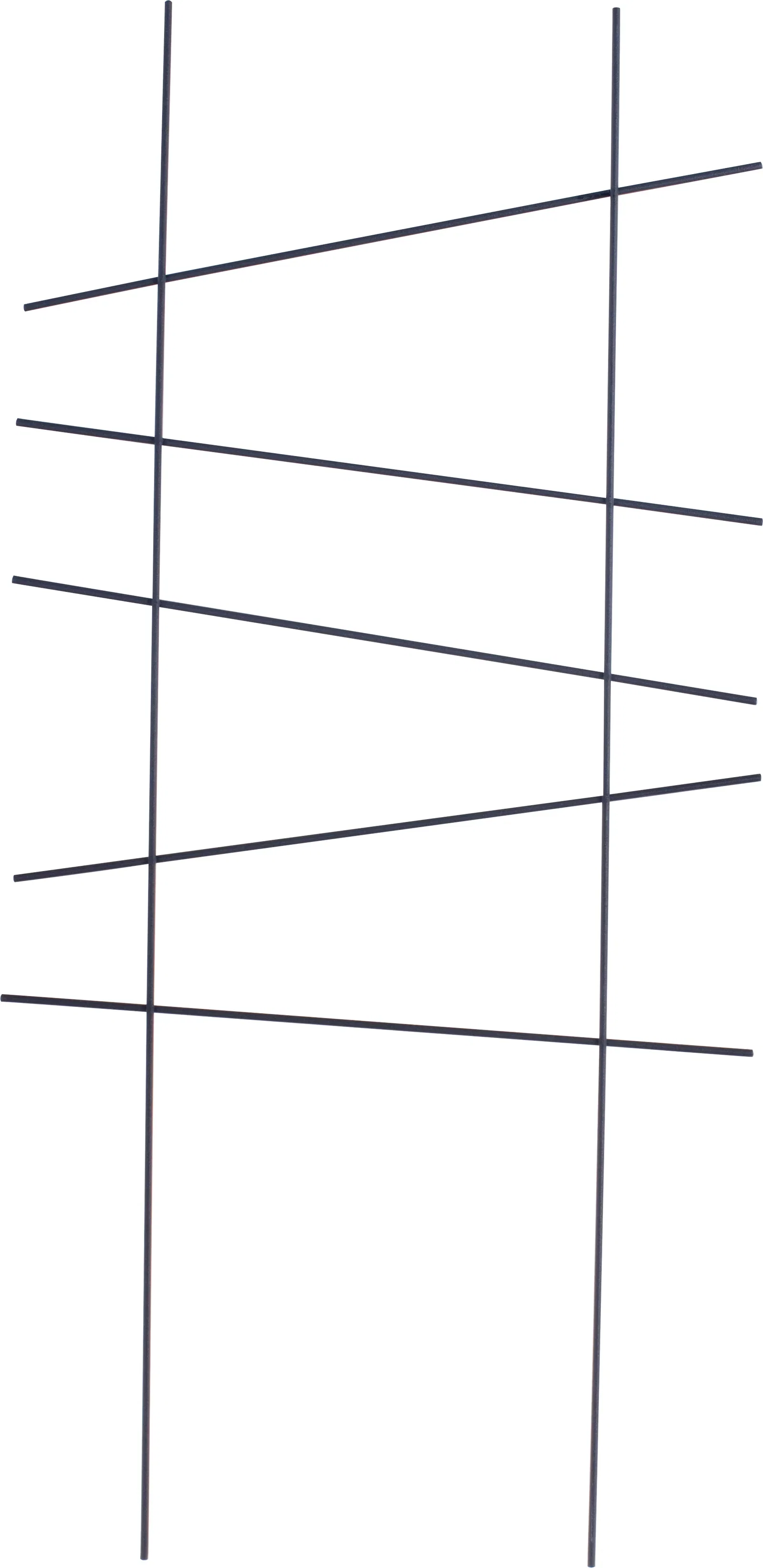 Espalier Ortus Høyde 58 cm