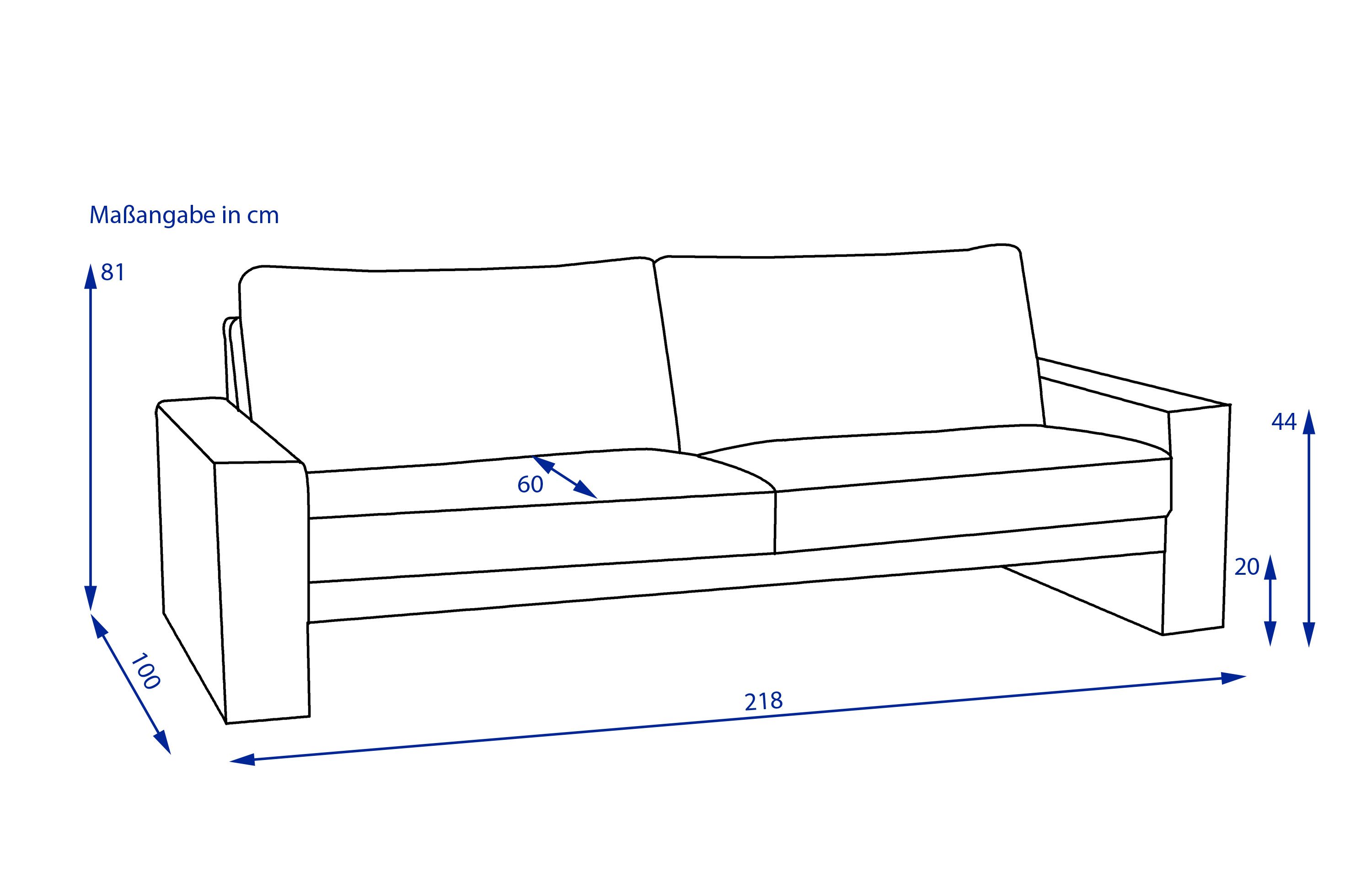 Sofa 2,5 Sitzer CLASSICS 100