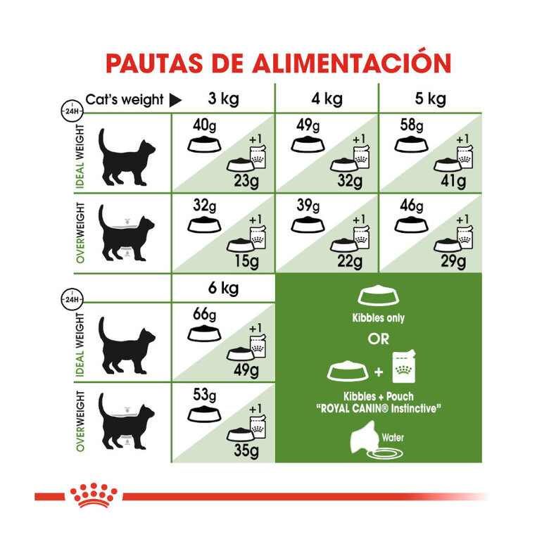 Ração Royal Canin Active Life Outdoor para gatos