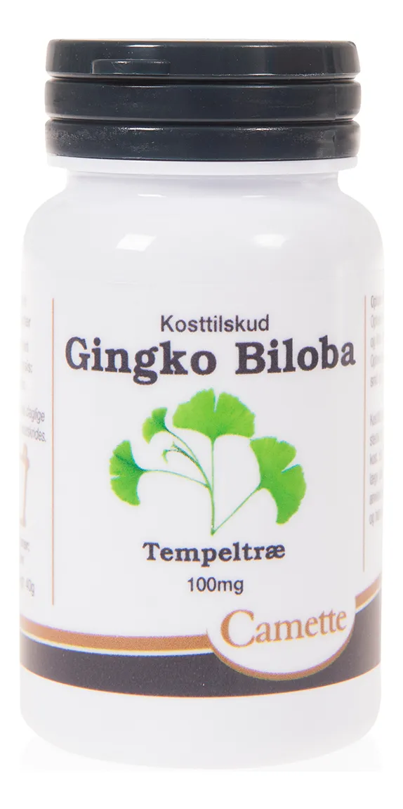 Camette Ginkgo biloba, 100 mg - 90 tabl