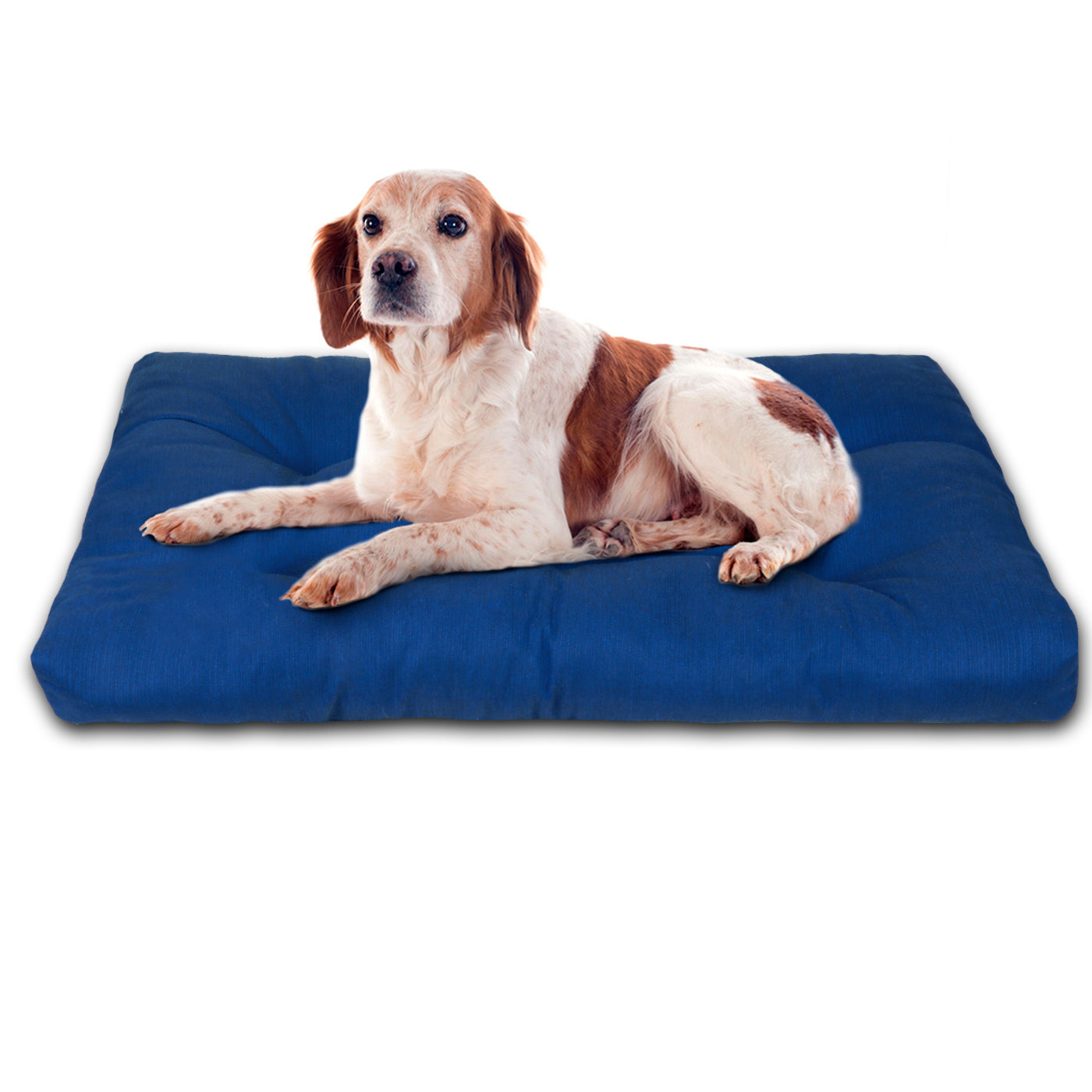 HOME MERCURY - Cama para animais de estimação, colchão para cães, tapete reversível estampado com enchimento de espuma para uso interno e externo. (Médio, Azul)