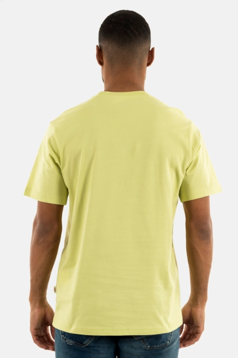 Tee shirt dickies mapleton h141 pale green