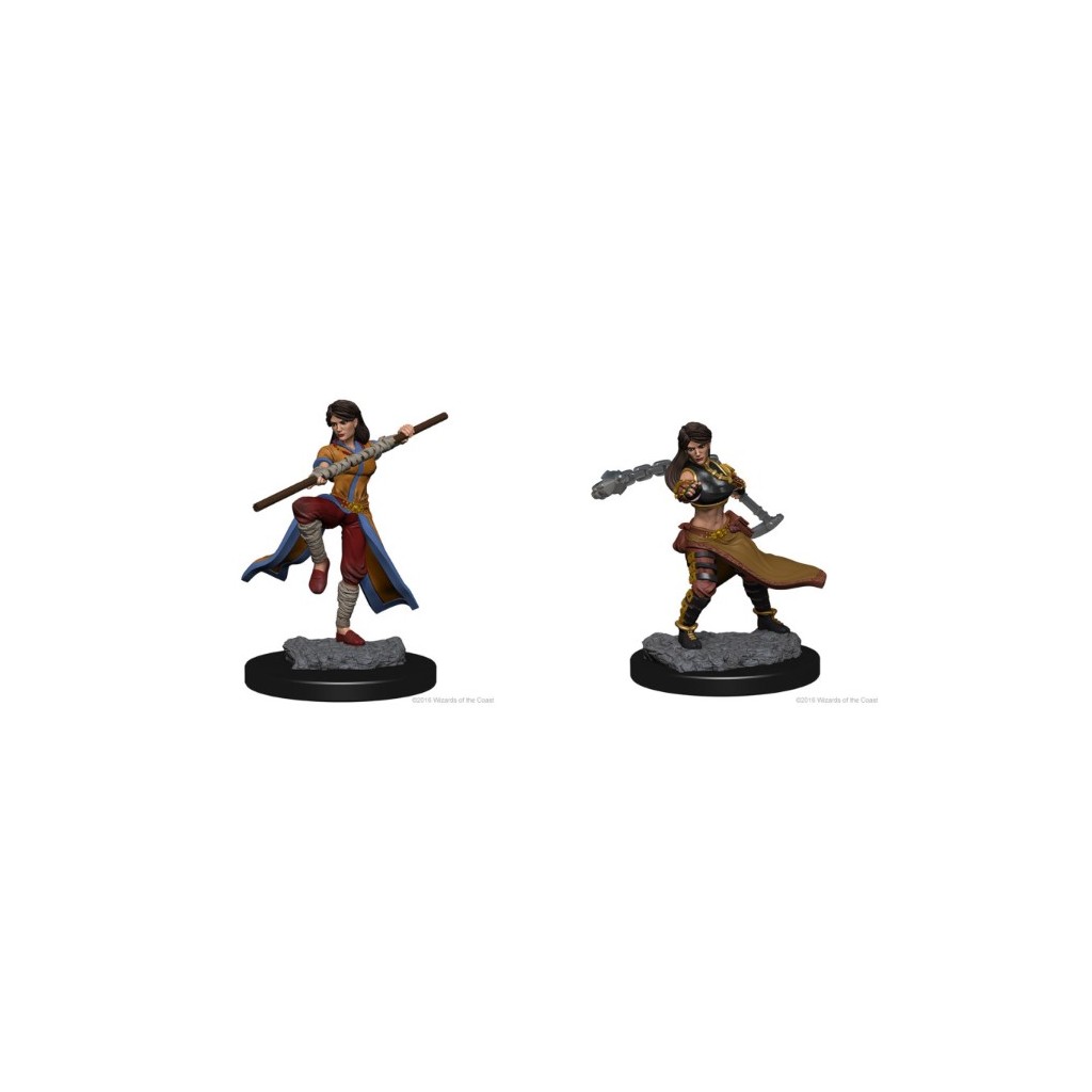 D&D Nolzur's Marvelous Unpainted Miniatures: Human Female Monk
